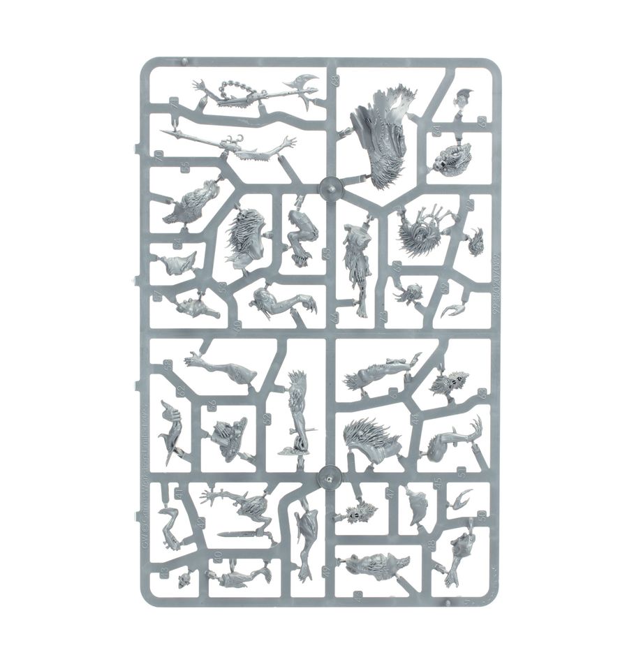 WARHAMMER AGE OF SIGMAR: SPEARHEAD FLEASH-EATER COURTS CHARNEL WATCH