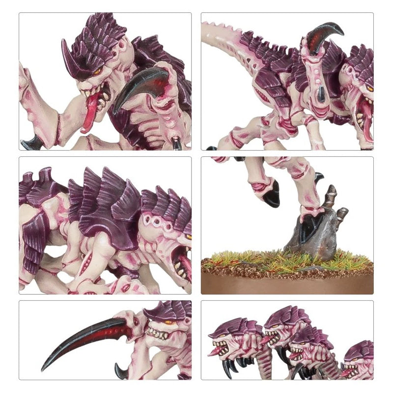 WARHAMMER 40K: TYRANIDS HORMAGAUNTS