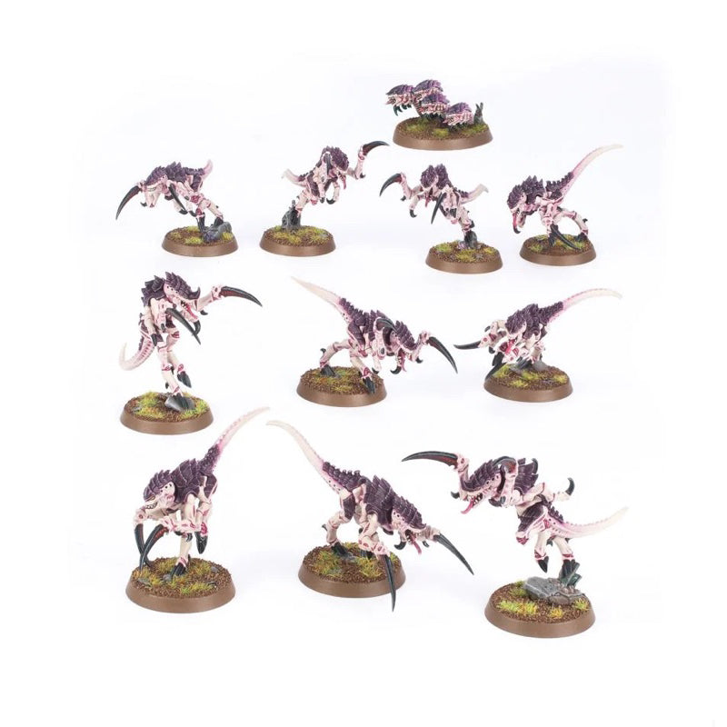 WARHAMMER 40K: TYRANIDS HORMAGAUNTS