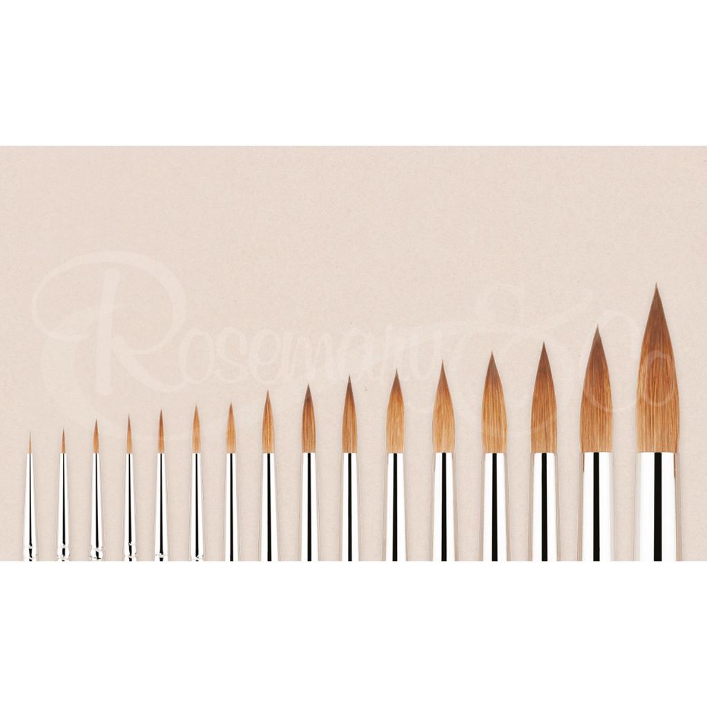 ROSEMARY & CO: SERIES 33 KOLINSKY SABLE POINTED ROUNDS