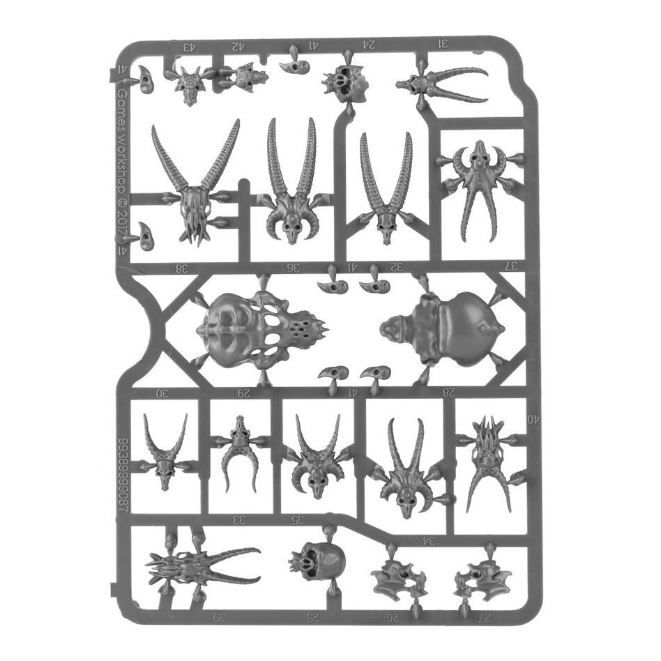 CITADEL: SKULLS