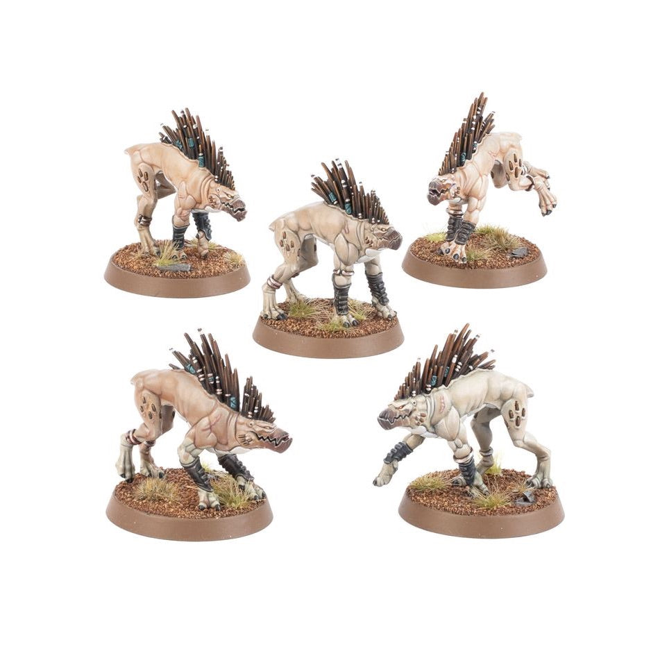 WARHAMMER 40K: T'AU EMPIRE KROOT HOUNDS