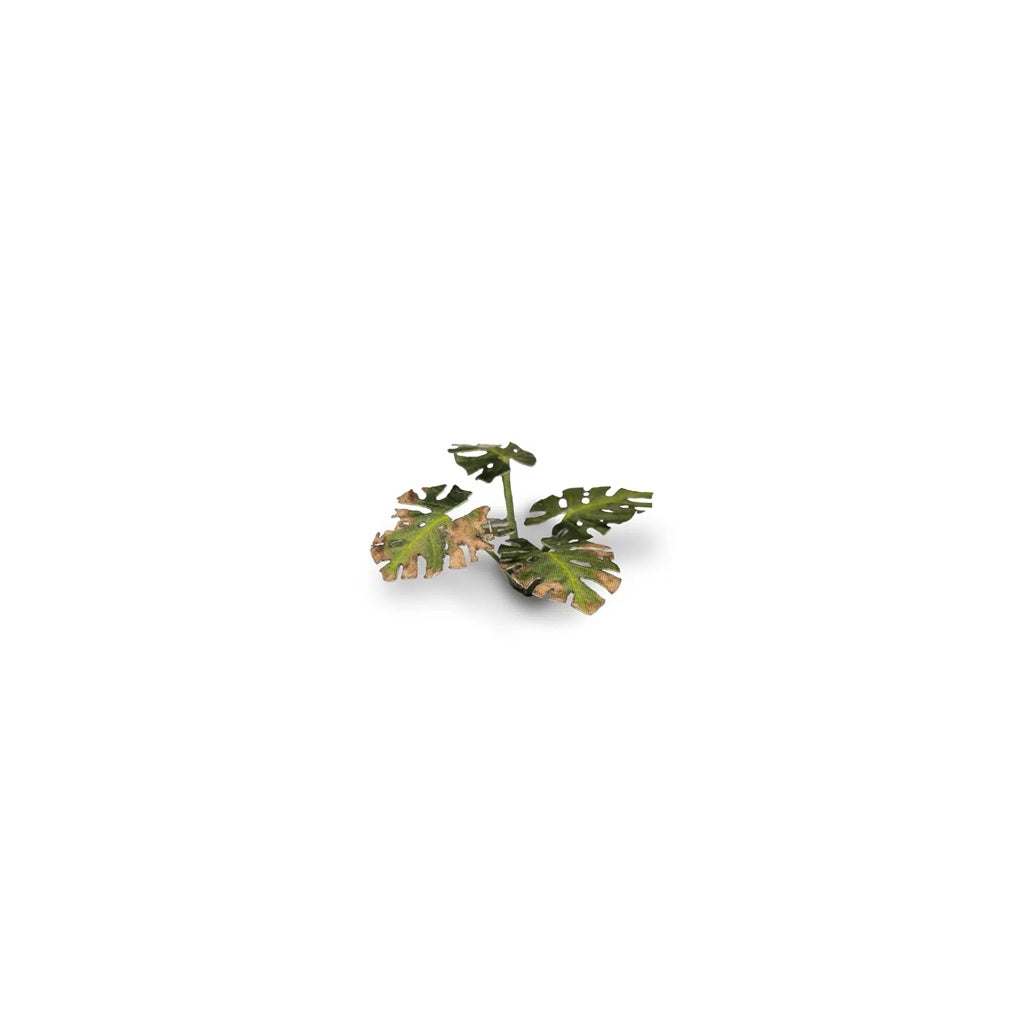 GAMER'S GRASS: LASER PLANTS MONSTERA