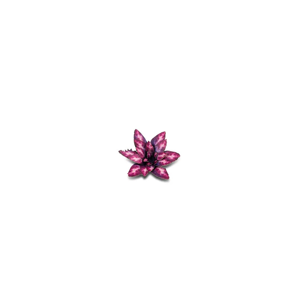 GAMER'S GRASS: LASER PLANTS ALIEN ROSETTE