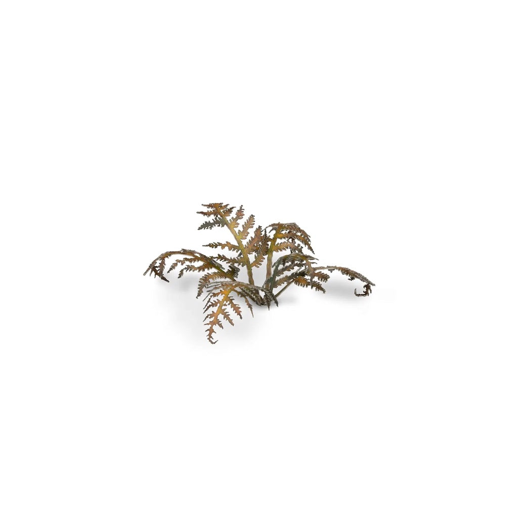 GAMER'S GRASS: LASER PLANTS DRY BRACKEN