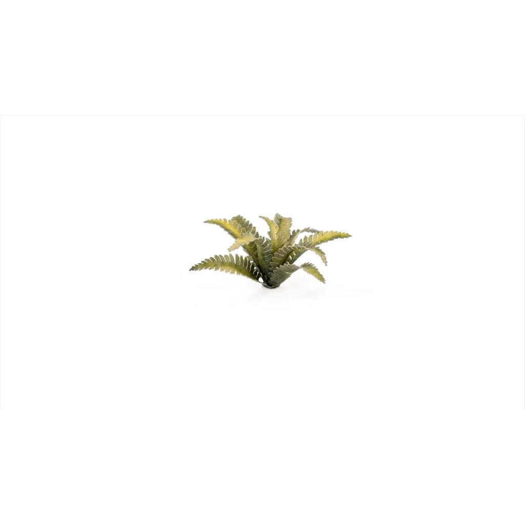 GAMER'S GRASS: LASER PLANTS DEER FERN