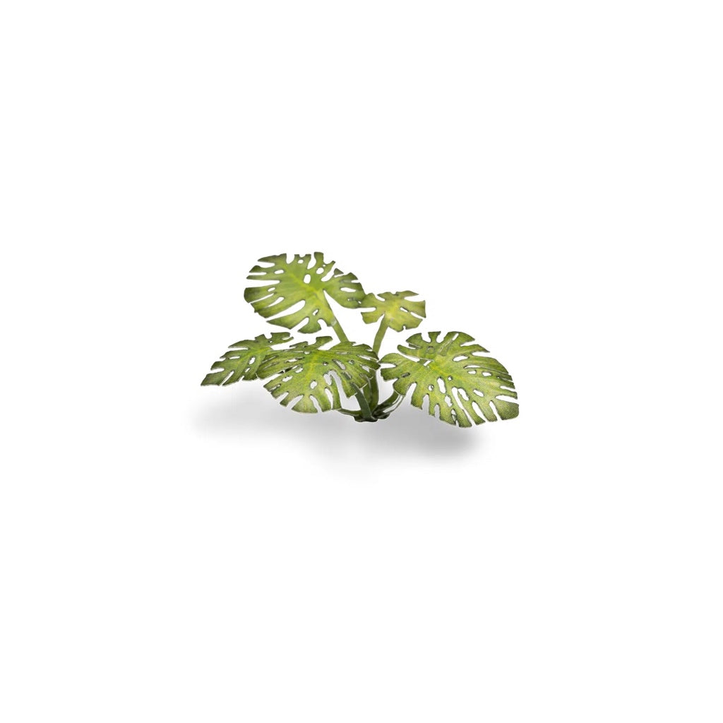 GAMER'S GRASS: LASER PLANTS MONSTERA