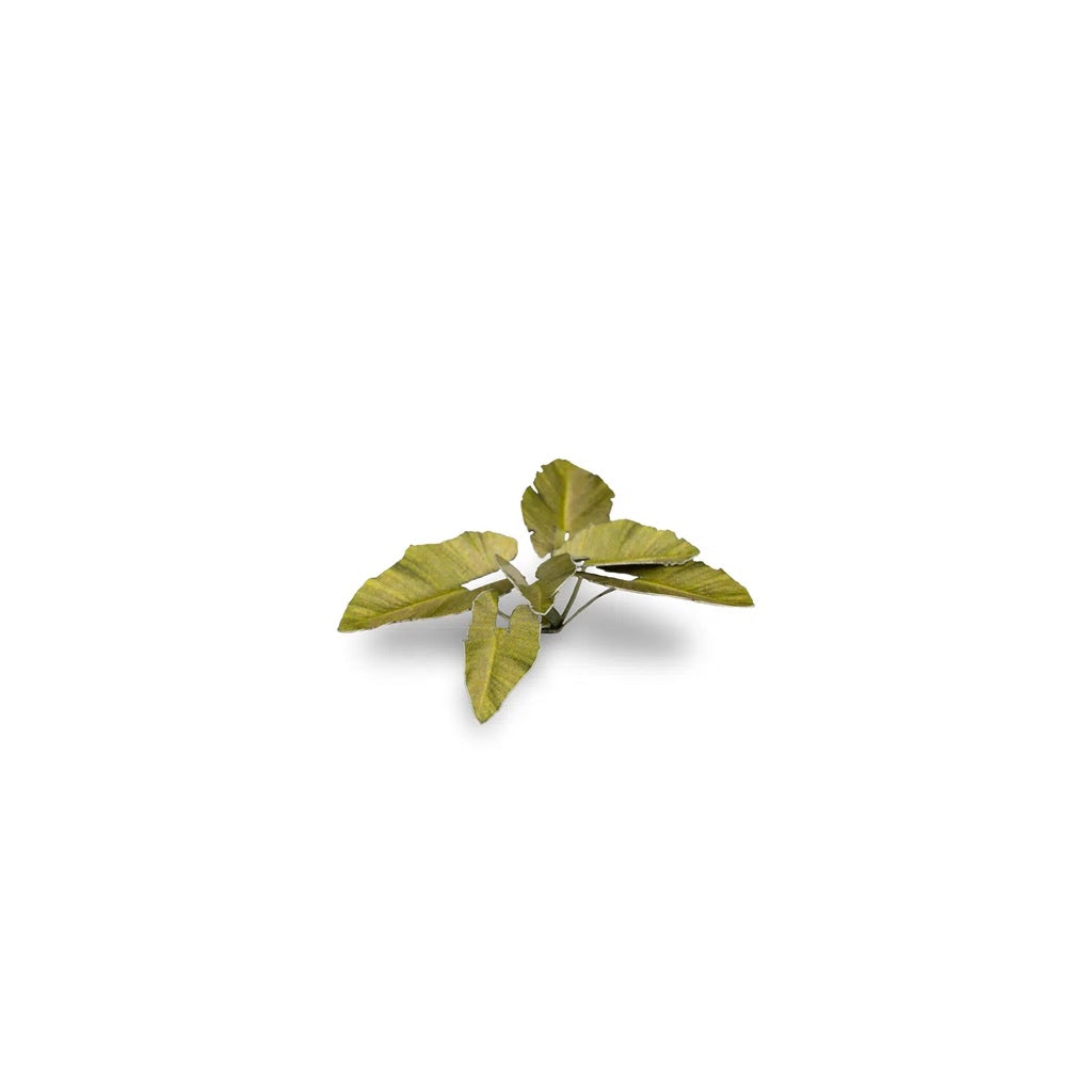 GAMER'S GRASS: LASER PLANTS ELEPHANT EAR