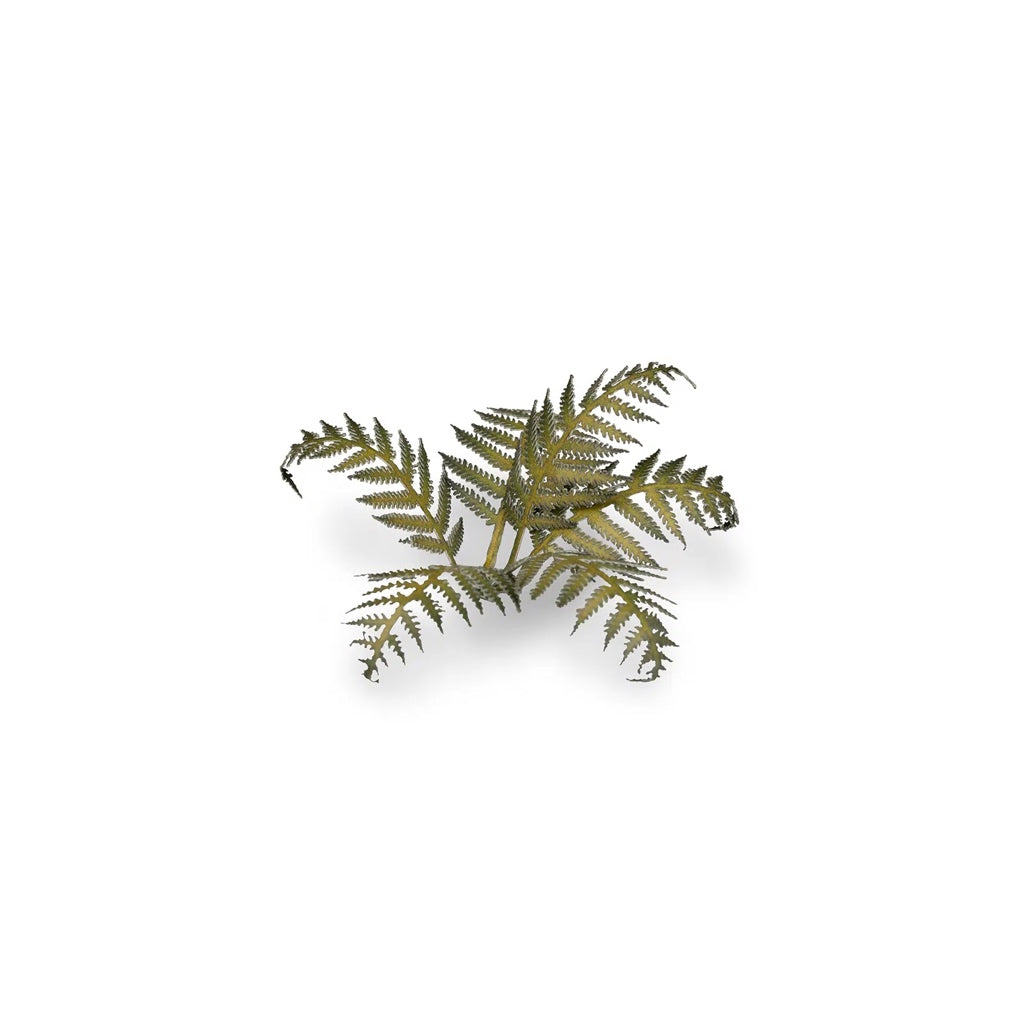 GAMER'S GRASS: LASER PLANTS BRACKEN