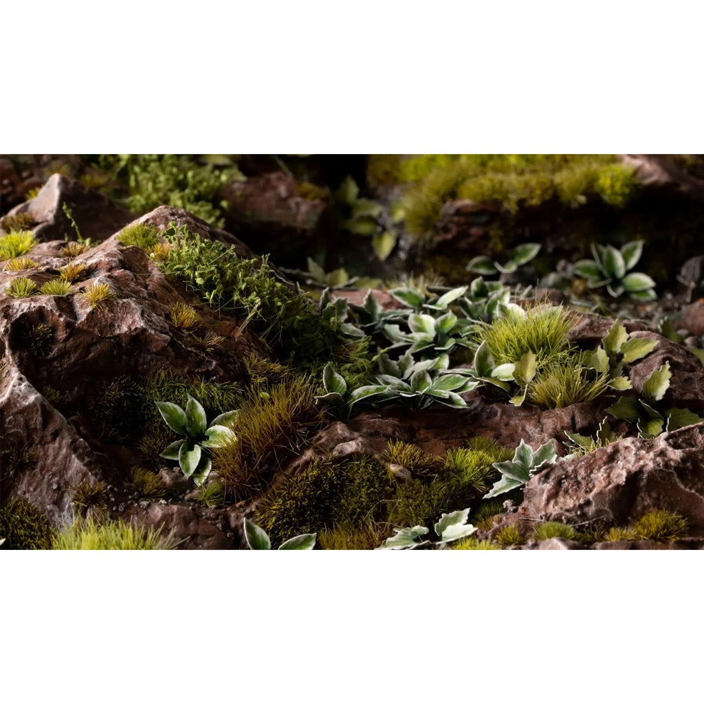 GAMER'S GRASS: LASER PLANTS PLANTAIN LILY