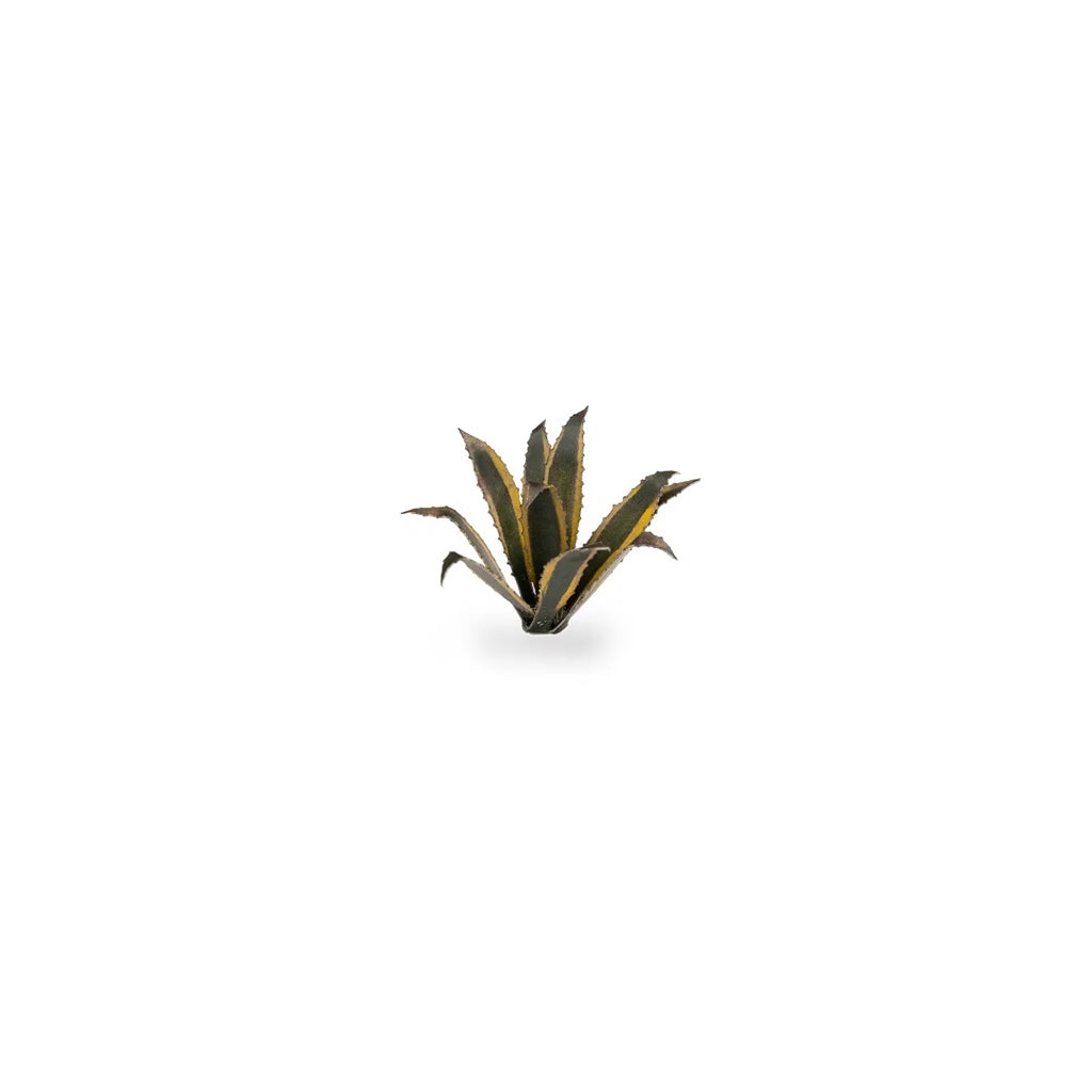 GAMER'S GRASS: LASER PLANTS AGAVE