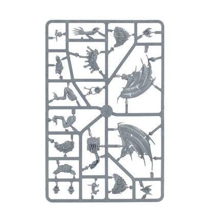 WARHAMMER AGE OF SIGMAR: SPEARHEAD FLEASH-EATER COURTS CHARNEL WATCH