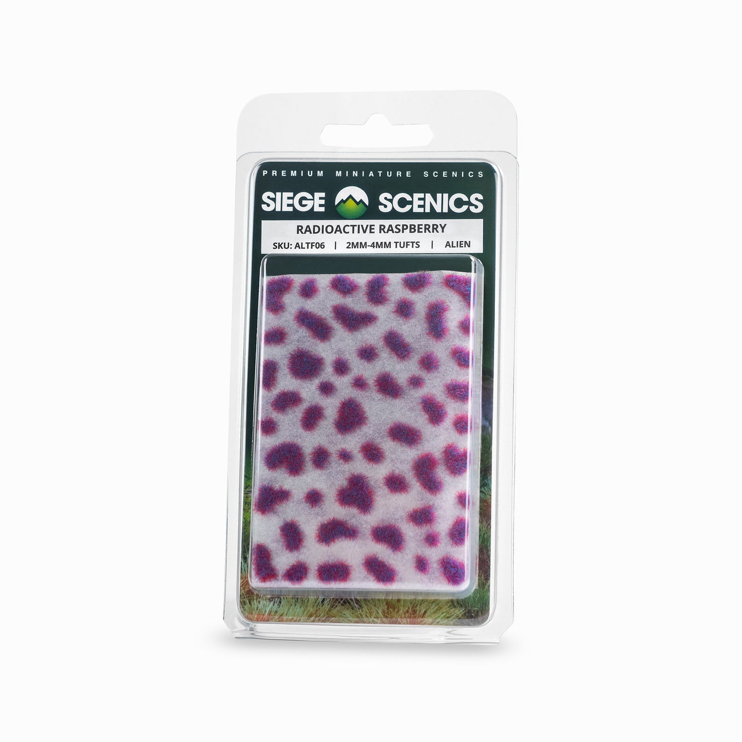 SIEGE SCENICS: RADIOACTIVE RASPBERRY