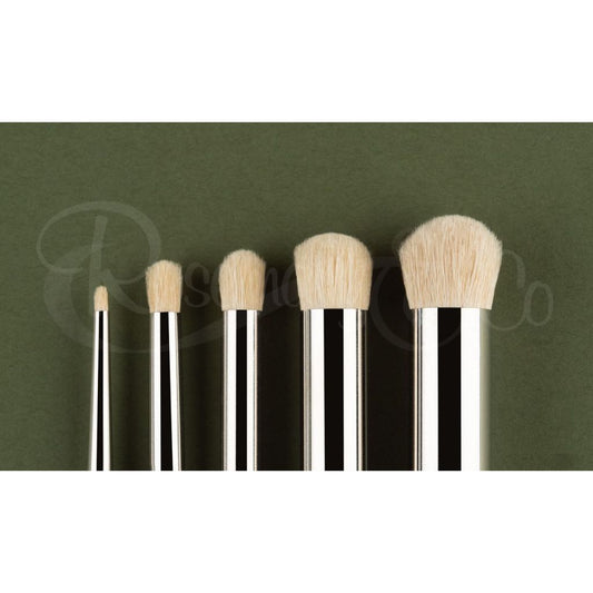 ROSEMARY & CO: MODEL DRY BRUSH