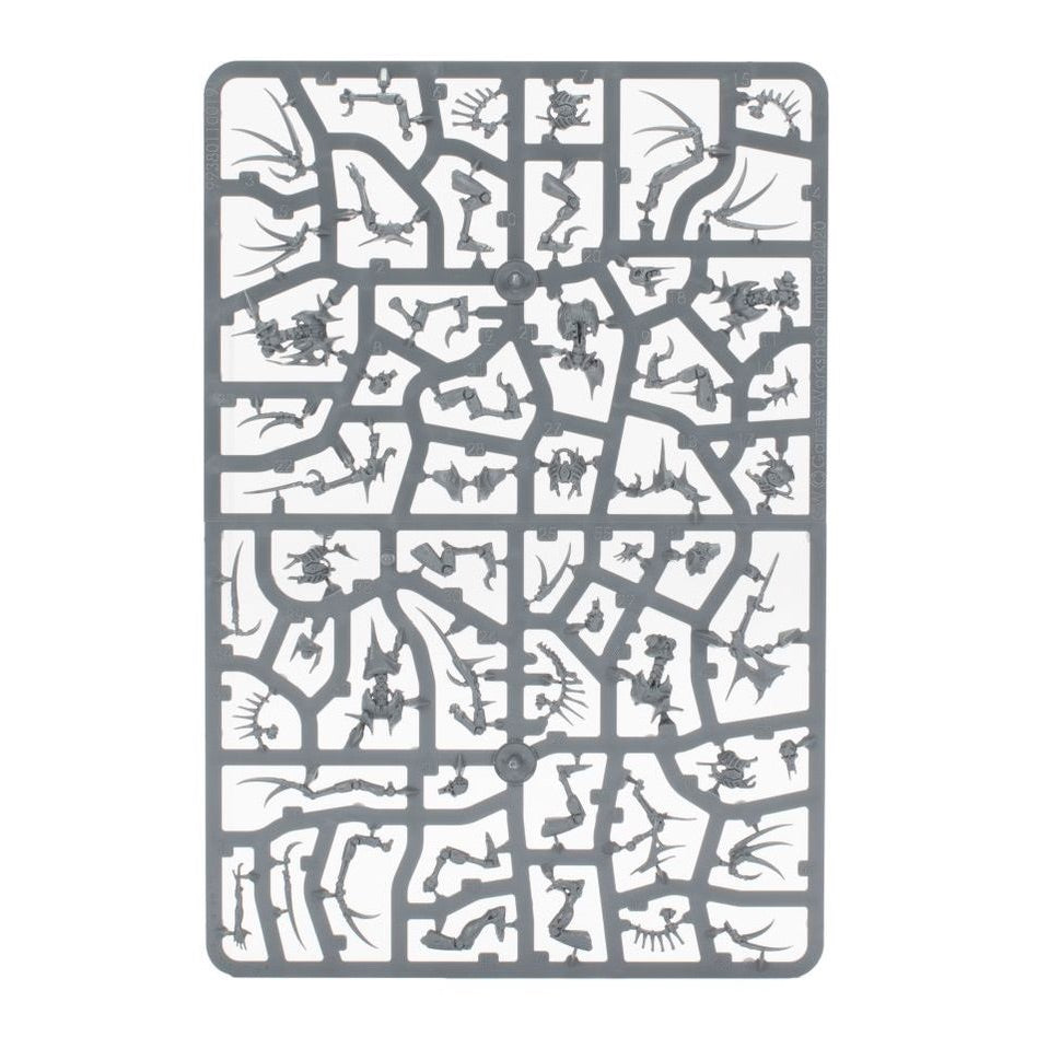 WARHAMMER 40K: NECRONS FLAYED ONES