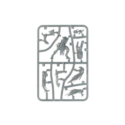 WARHAMMER 40K: T'AU EMPIRE KROOT FLESH SHAPER
