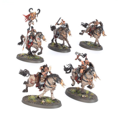 WARHAMMER AGE OF SIGMAR: SLAVES TO DARKNESS DARKOATH FELLRIDERS