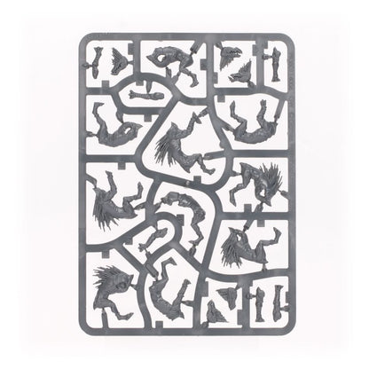 WARHAMMER 40K: T'AU EMPIRE KROOT HOUNDS