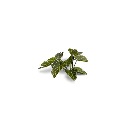 GAMER'S GRASS: LASER PLANTS ELEPHANT EAR