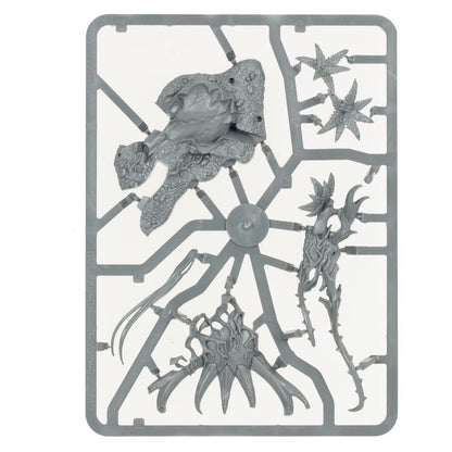 WARHAMMER AGE OF SIGMAR: SYLVANETH WARSONG REVENANT