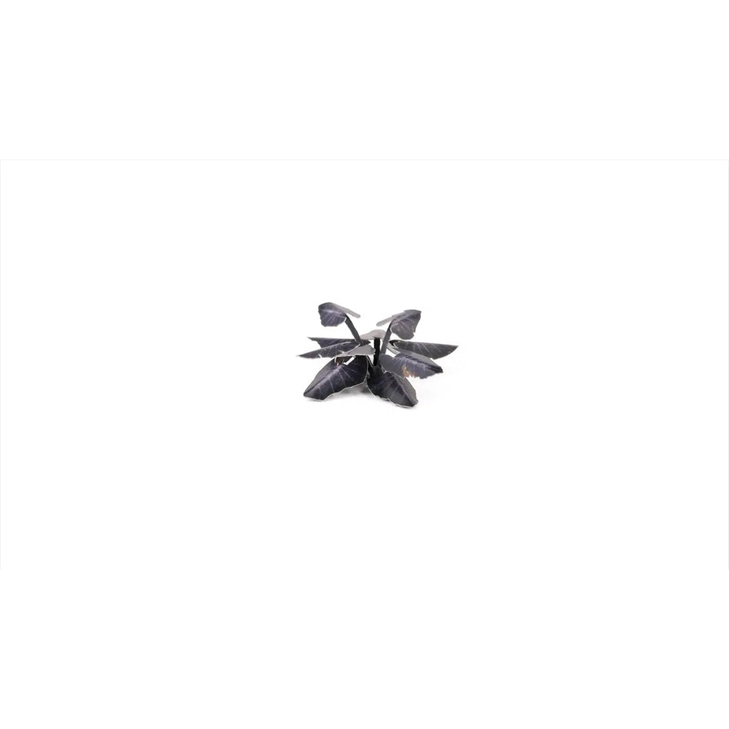 GAMER'S GRASS: LASER PLANTS BLACK MAGIC TARO
