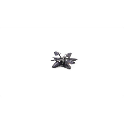 GAMER'S GRASS: LASER PLANTS BLACK MAGIC TARO