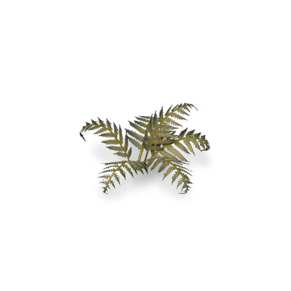 GAMER'S GRASS: LASER PLANTS BRACKEN