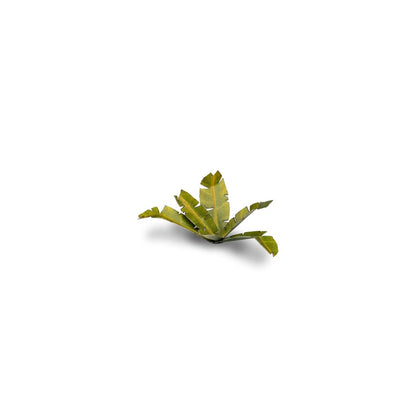 GAMER'S GRASS: LASER PLANTS BANANA TREE